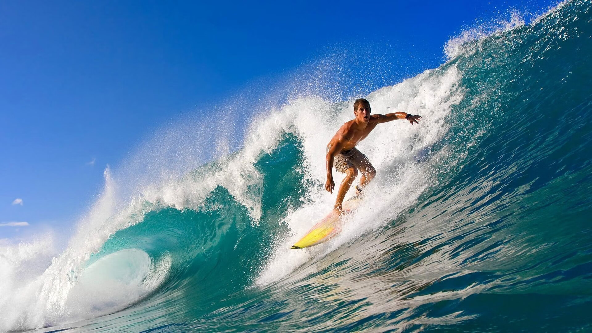 世界杯足球盛宴：动人心弦的精彩瞬间，世界杯足球精彩集锦
