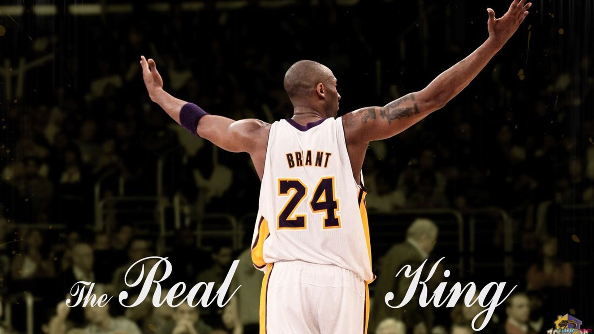 拳击比赛冠军悬念揭晓，拳击手冠军