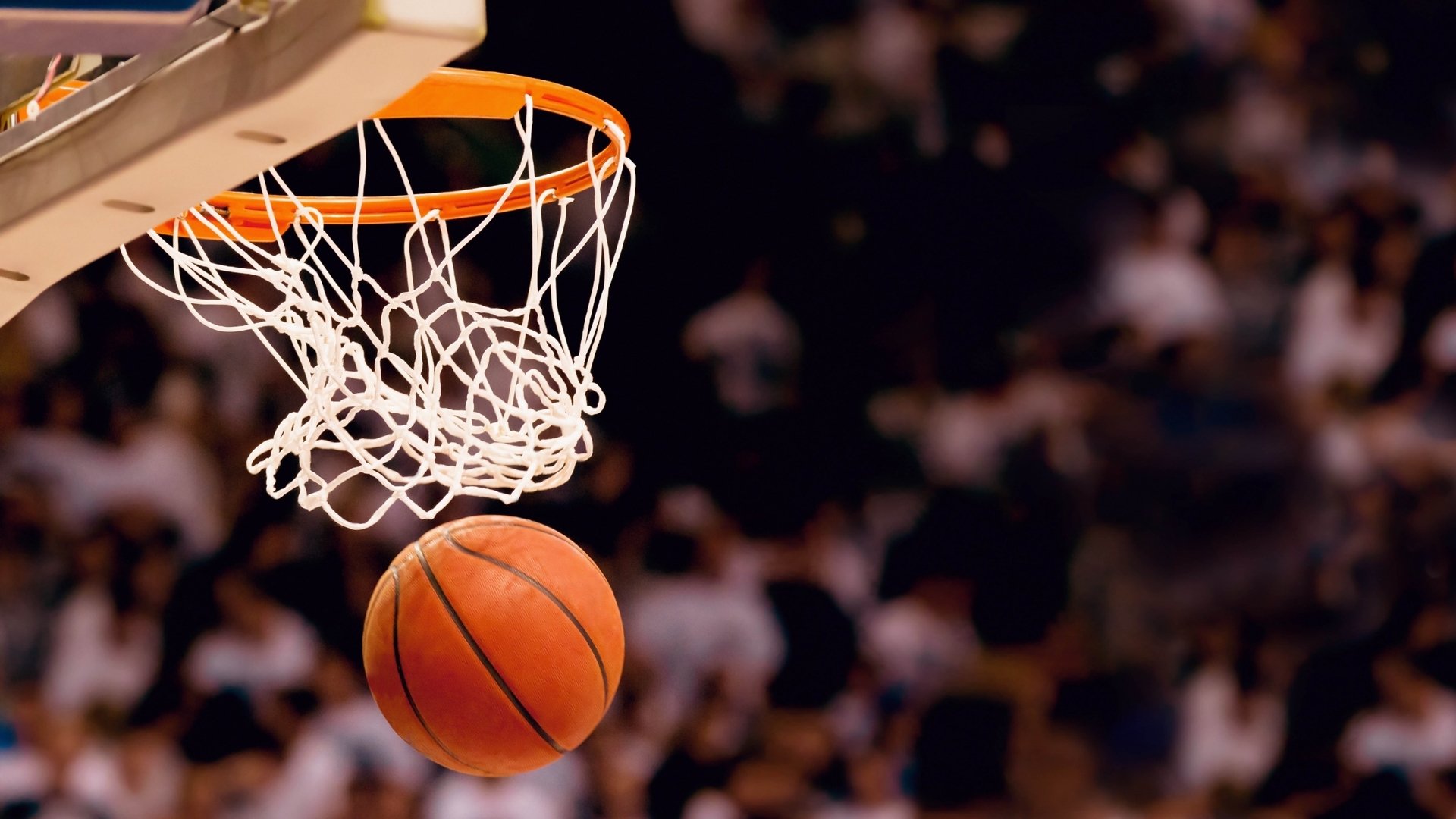 2026年奥运备战最新名单与金牌形势分析,2026年的奥运会在哪个国家举行